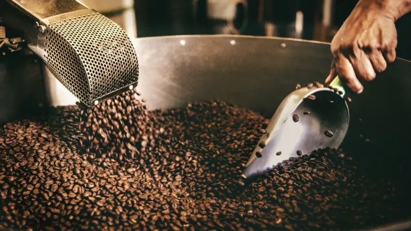 تحميص حبوب قهوة أرابيكا دبي داخل محمصة احترافية—حبوب طازجة تُقلب لضمان نكهة غنية ورائحة قوية.
